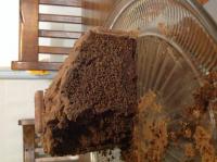 Chocolate American cake