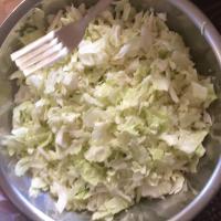 Cabbage chop 2-3sec spd4.